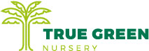 True Green Nursery logo